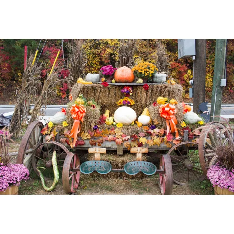 

Horizontal autumn vinyl cloth flower pumpkins photography backdrops for children party photo studio portrait backgrounds