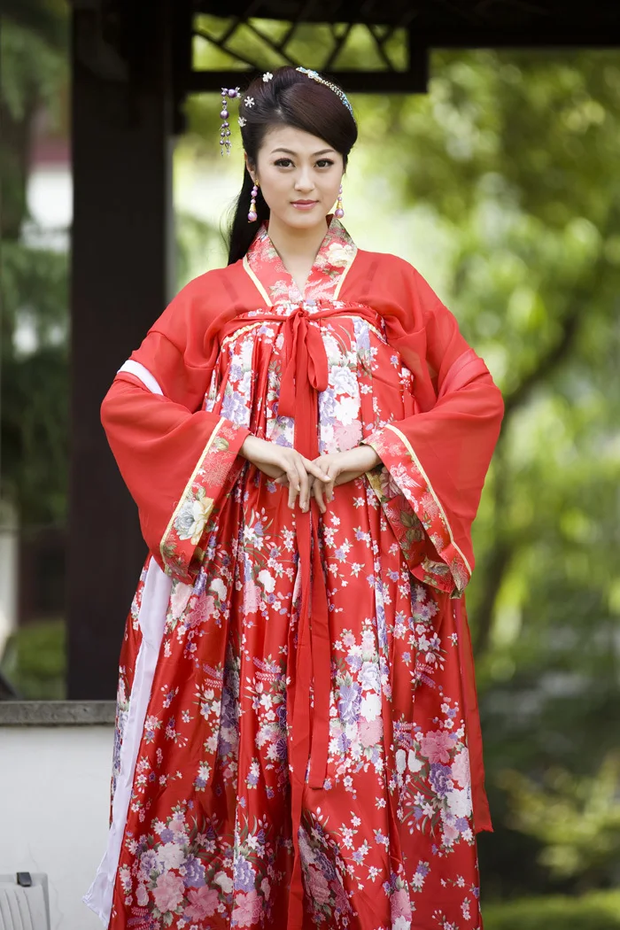 New Chinese Ancient Clothing Hanfu Skirt Hanfu Women's Skirt Costume Hanfu Double-breasted Dress