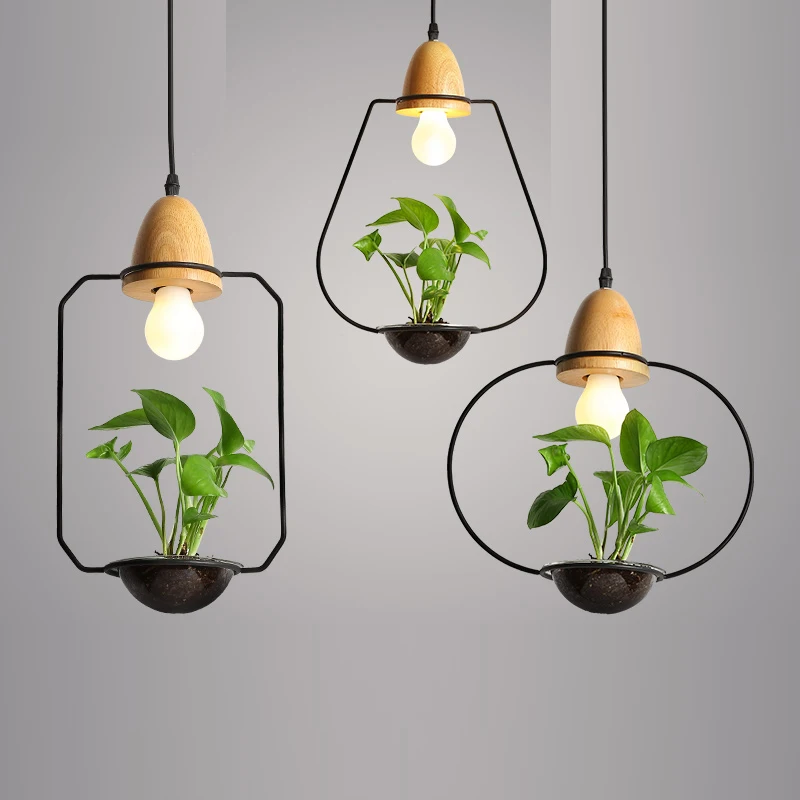 Купить лампу подвесную. Люстра Areti Plant Pendant. Pendant Lighting (Hanging Light)подвесной светильник. Люстра Odeon Light Pendant Lamp. Необычные светильники.