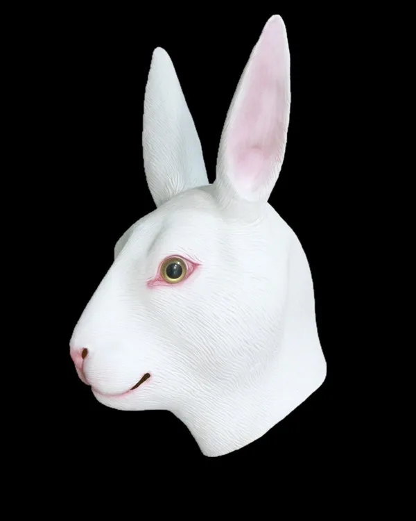 Rabbit HY-AM010-6