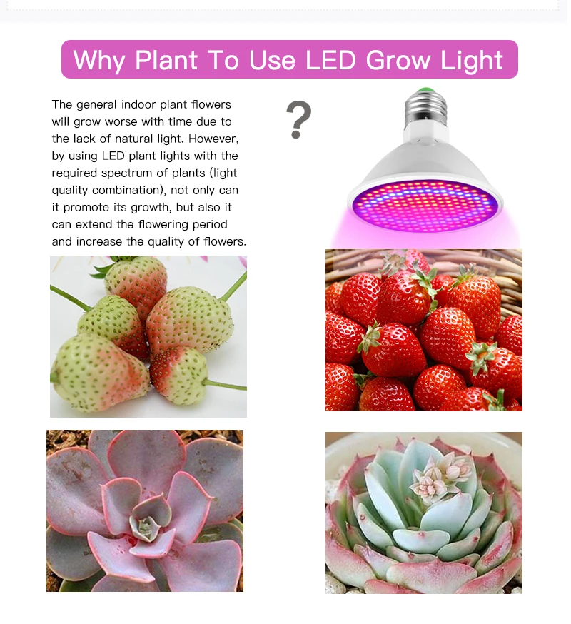 Goodland Phyto Lamp Full Spectrum LED Grow Light E27 Plant Lamp Fitolamp For Indoor Seedlings Flower Fitolampy Grow Tent Box 5 Goodland Phyto Lamp Full Spectrum LED Grow Light E27 Plant Lamp Fitolamp For Indoor Seedlings Flower Fitolampy Grow Tent Box 5