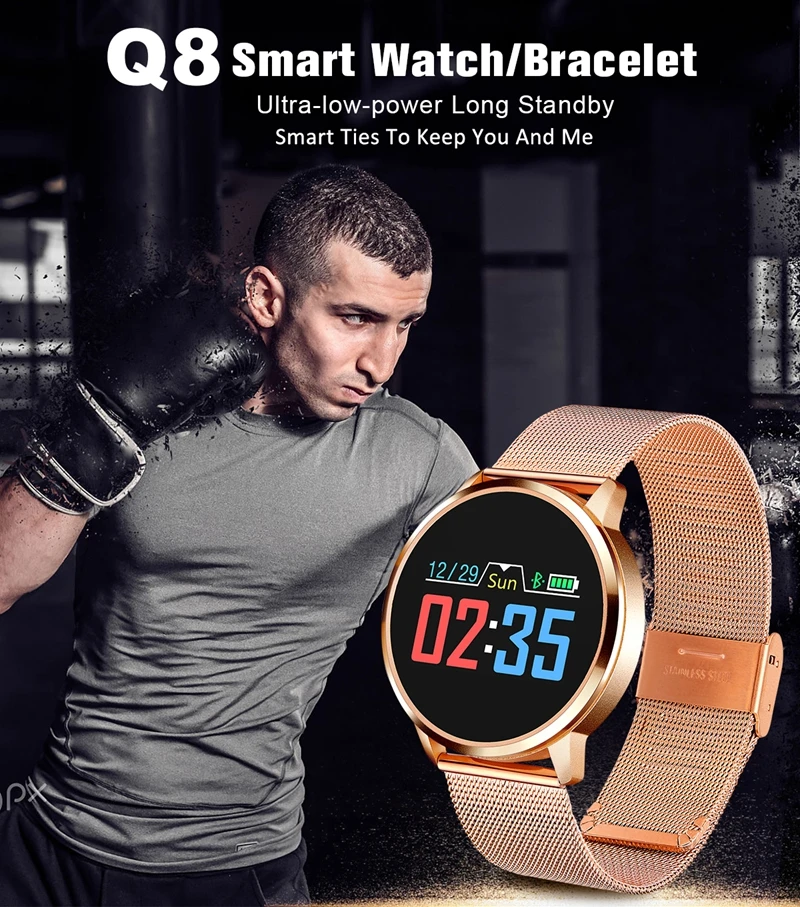 q81-_01