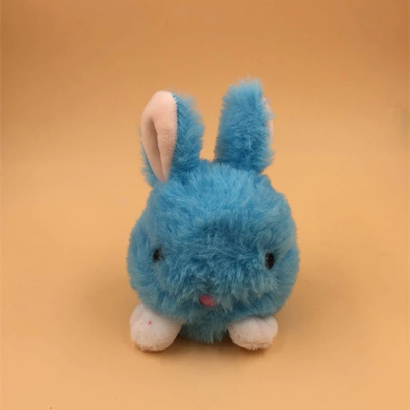 rabbit (5)