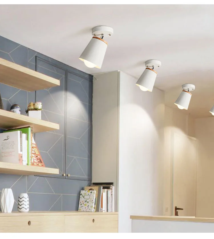CEILING LIGHT 03
