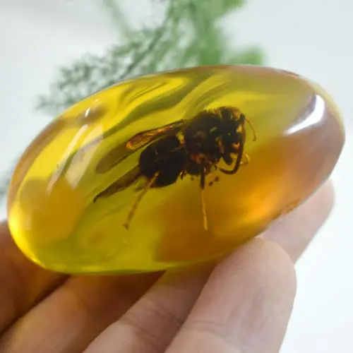 Китайские красивые янтарные животные пчела окаменелые насекомые ручная полировка изысканные образцы животных