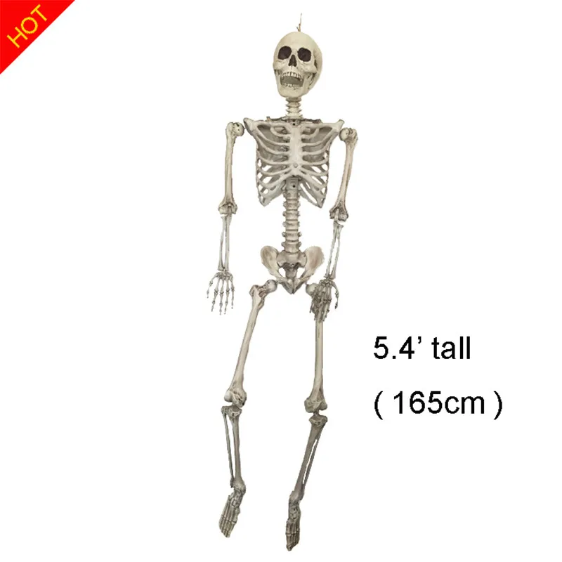halloween skeleton 100 plastic life size skeleton haunted house life size skeleton