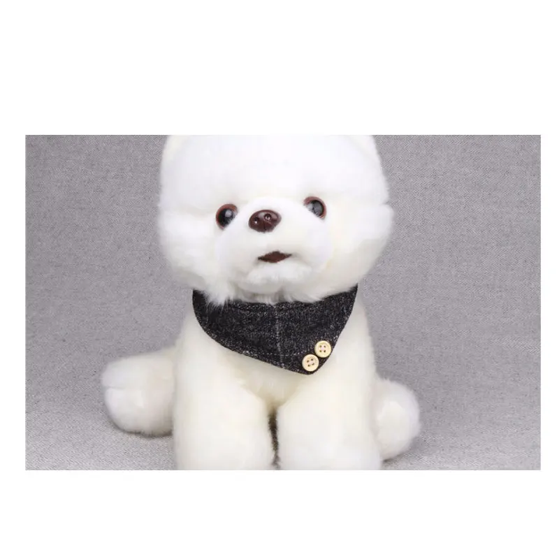 05 pet accessories 