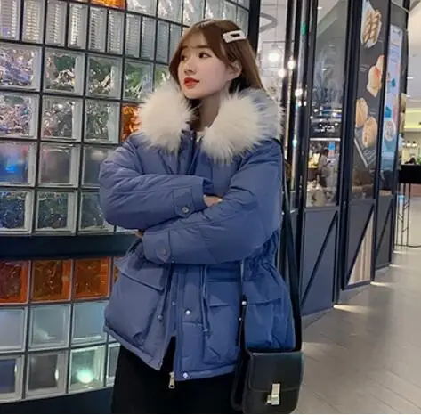 Best 2019 Korean Style Winter Jacket Women 5 Colors Hooded Thicken Fur Collar Female Parka Outwear Warm Ladies Coat