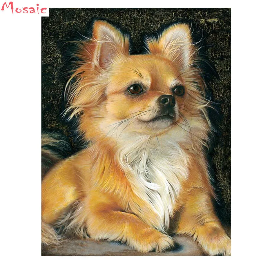 

Diamond Painting chihuahua dog Full Square Diamond Embroidery Cross Stitch pet Needlework Diamond Mosaic Rhinestones Home Decor