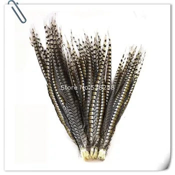 

Free shipping 100pcs25-30cm10-12inch amherst pheasant feathers natural feathers plume bulk feather decoration
