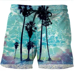 Summer Man's Beach Shorts Water Sports Short Pant 3D Print Loose Surfing Shorts Quick Dry Plus Size Holiday Surf Board Swimsuit