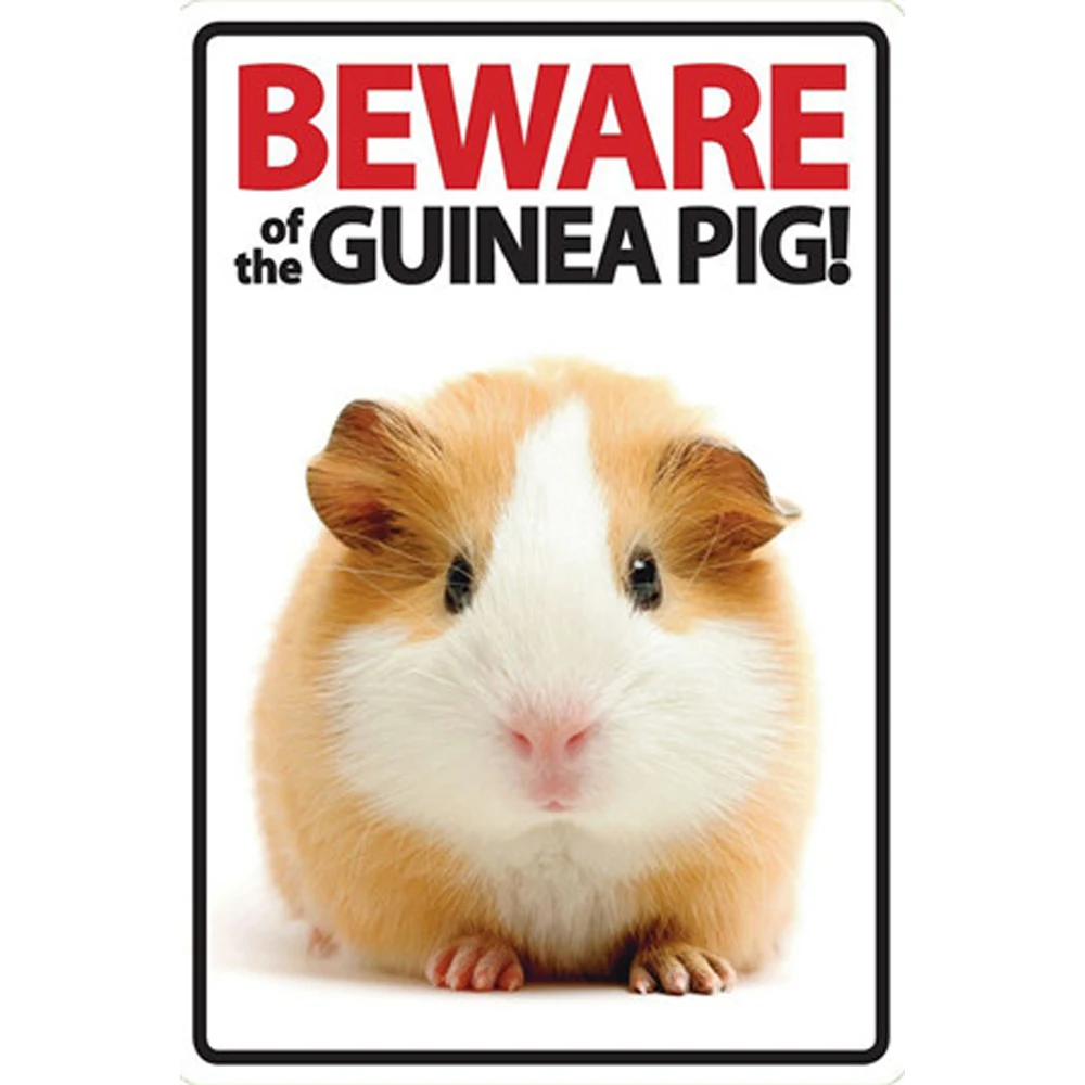 

Guinea Pig Vintage Metal Tin Signs Home Bar Club Pub Metal House Decorative Metal Plates Wall Stickers Poster 1001(690)