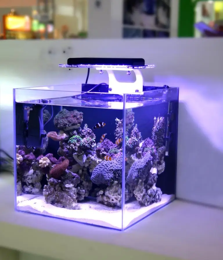 zetlight aquq wifi led