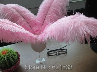 FO110 (7)