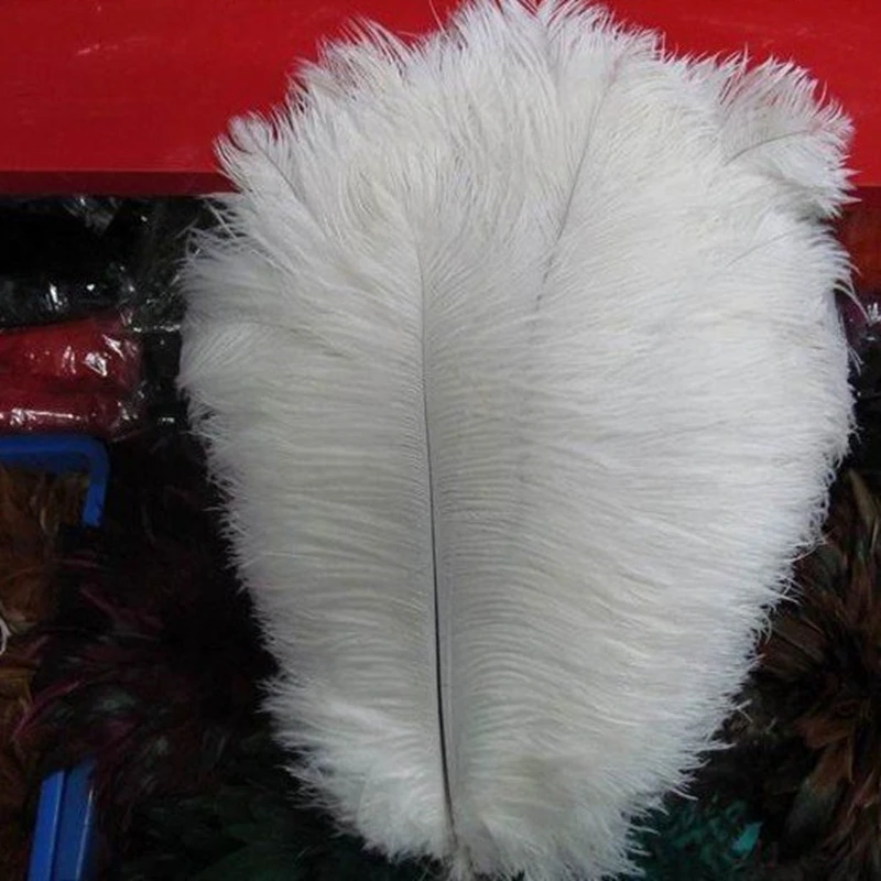 10pcs-1358-Natural-Ostrich-Feather-White_2_800x800