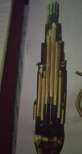 

Chinese national musical instrument professional Fang Sheng