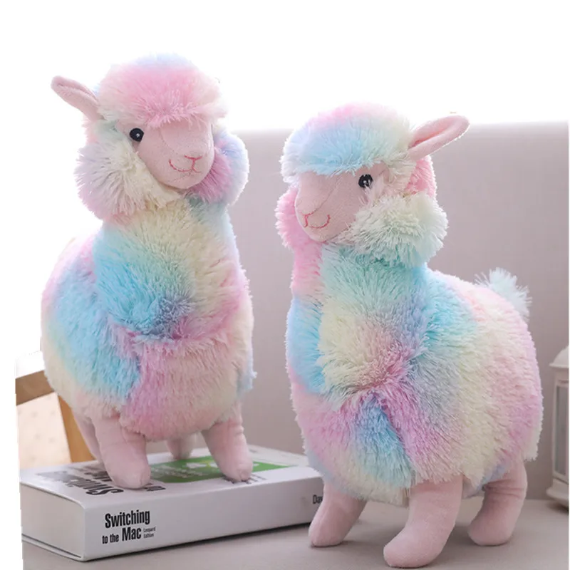 sheep (1)