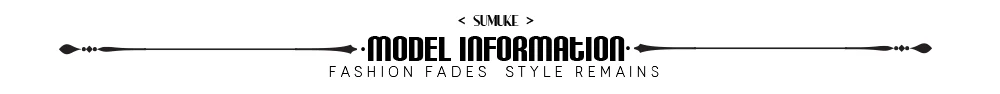 model information