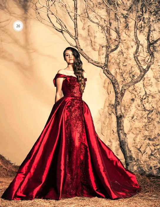 Ziad Nakad Haute Couture Rze26 Evening Formal Party Ball Gown Women Ziad Nakad Haute Couture Rze26 Evening Formal Party Ball Gown Women Dress Beading Red Long 2017 In Dresses From Weddings Events On