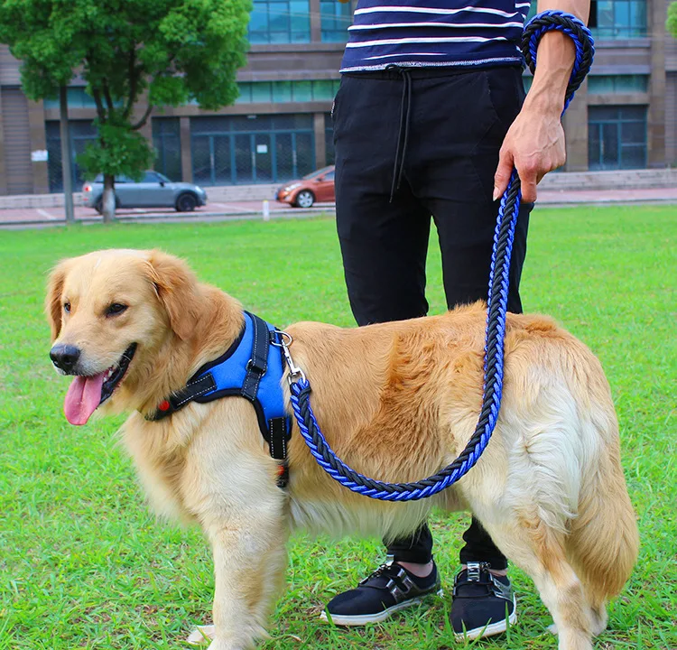 Double Strand Strong Dog Leash and Harness Set in Kampala