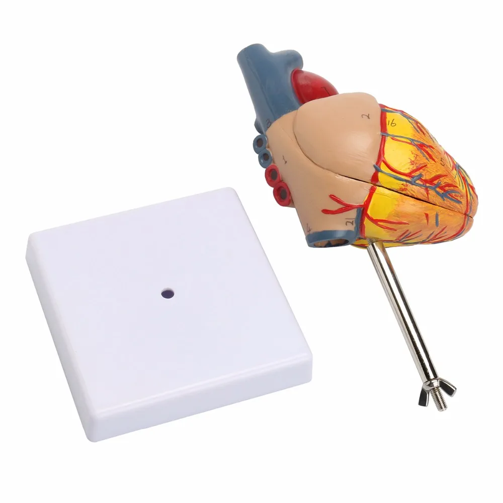 rB9kflokvO2AQGWbAAXSGERp7jg733