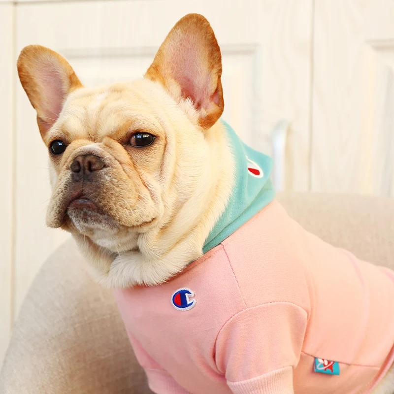 Dog clothes New Popular Spring Pet dog coats Blue Bowder Fighting Champion Hoodies Two-Legged Clothes For Small Pets S-XXL | Дом и сад