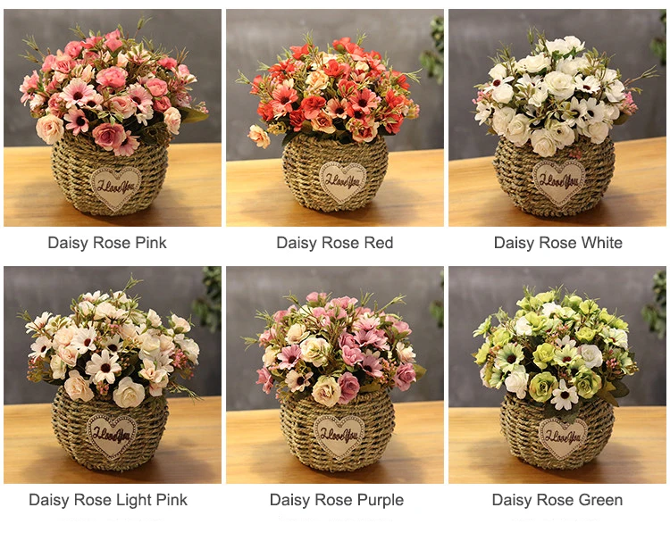 12 Daisy Rose Color 1