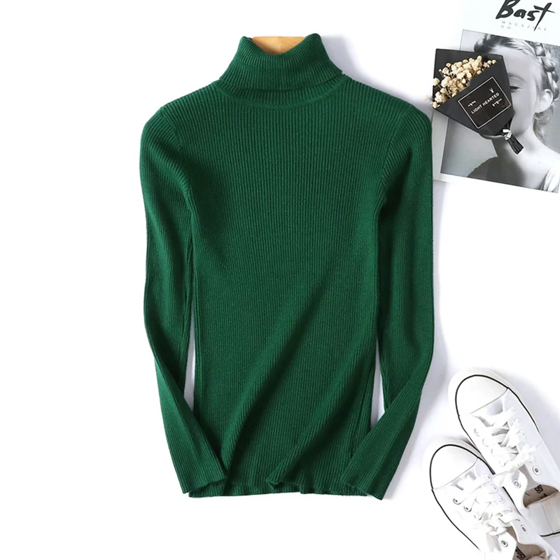 Warm Winter Women Sweater Turtleneck Pullover Knitted Sweaters For Ladies Long Sleeve High Elasticity Soft Pullovers Autumn 2018 (21)