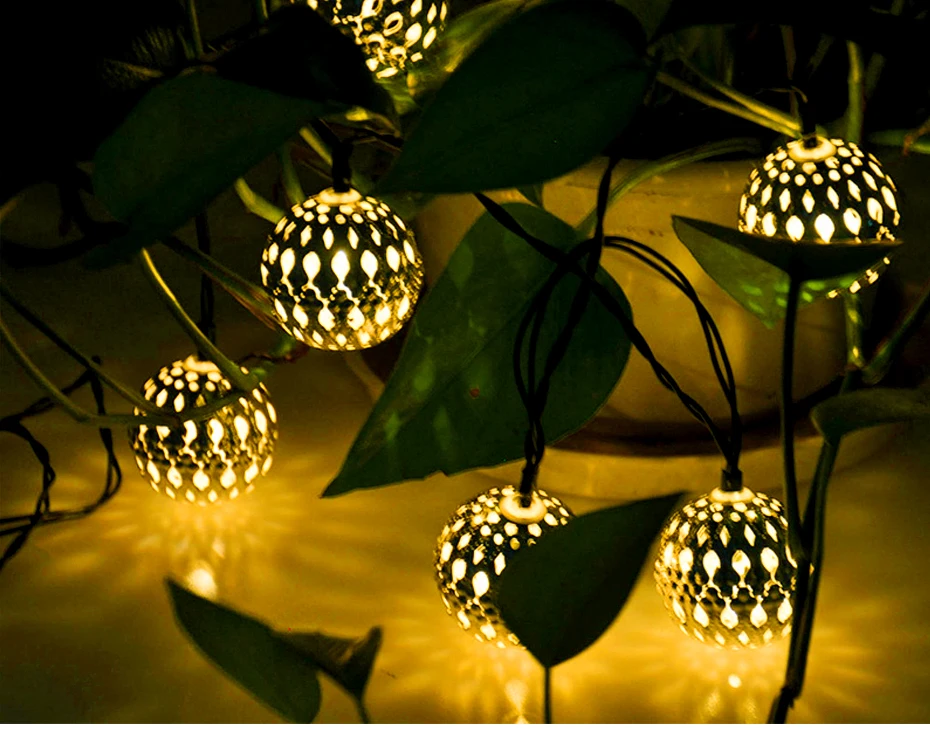 string light  (14)