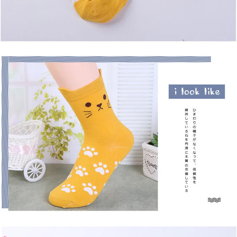 Sock (9)