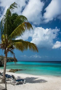 

Laeacco Summer Party Blue Sky Sea Beach Palms Tree Scenery Photography Background Custom Photographic Backdrops For Photo Studio