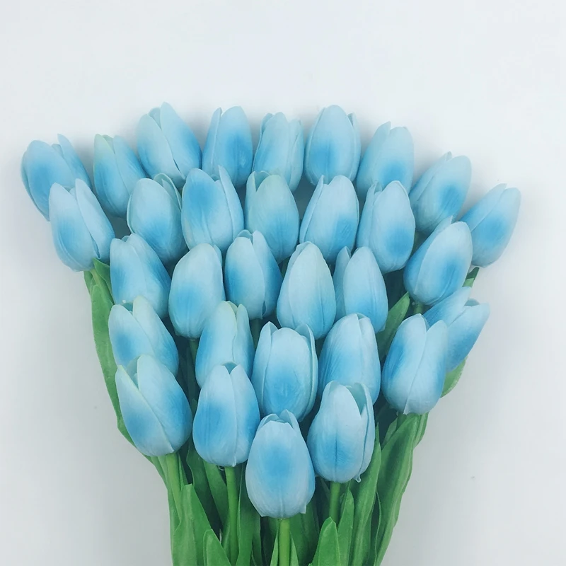 MS(70)