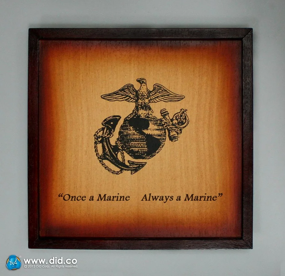 DID A80092 USMC Force Recon Brigadier General Frank Коллекция фигурка для фанатов подарок на праздник