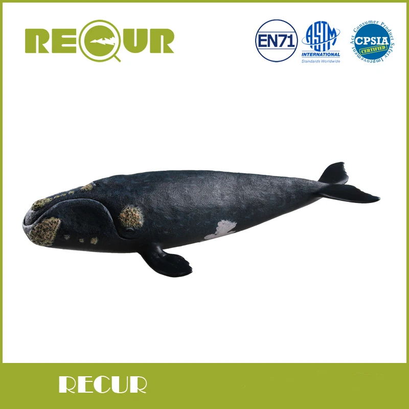 

Recur Toys Original Design North Pacific Right Whale Sea Life High Simulation Model PVC+PP Cotton Toy Animal Figures Soft Toys