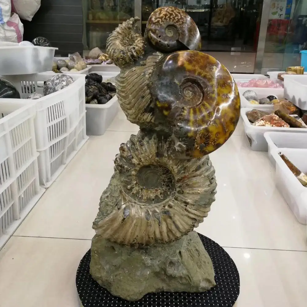 

High quality fengshui collection gifts rock Screw the specimen fossil