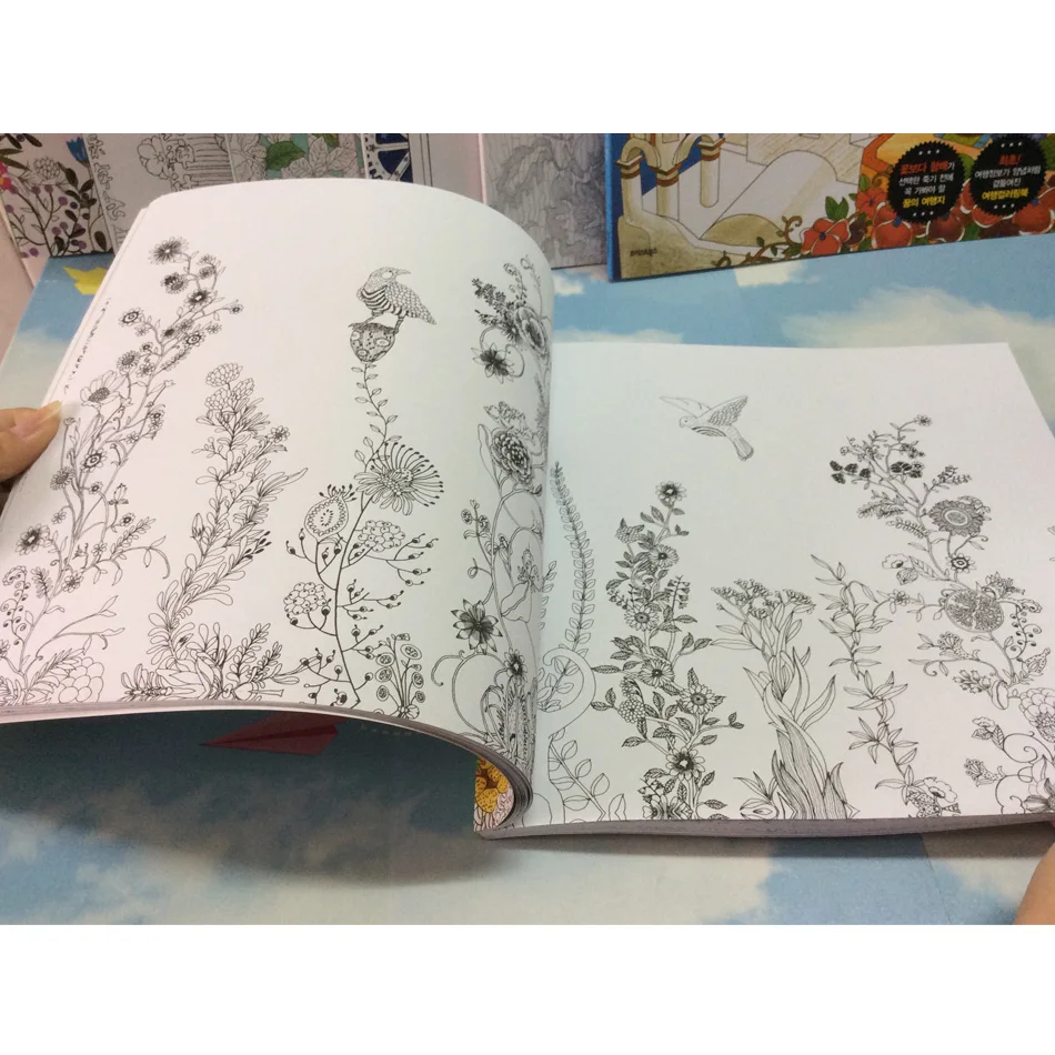 82 страницы мечта взрослых раскраски граффити Живопись Рисунок Secret Garden раскраска