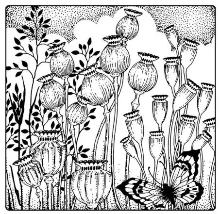 

flower background Clear Stamp/Seal for DIY scrapbooking/photo album Decorative clear stamp sheets A1903