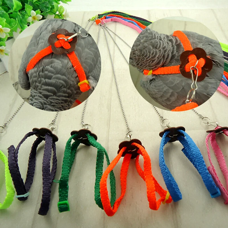 

Fashion Pet Parrot Bird Harness & Leash Adjustable Light Soft Random Color Birds Tools