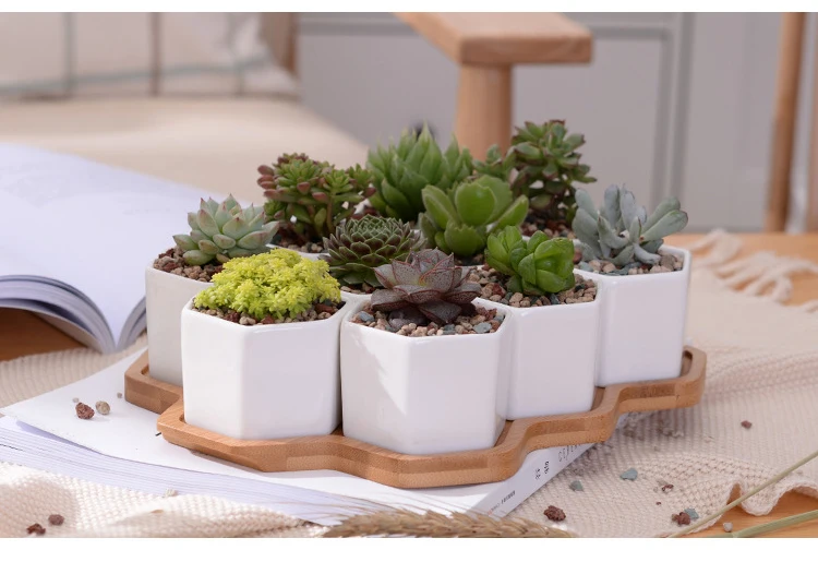 3812684033_675057837