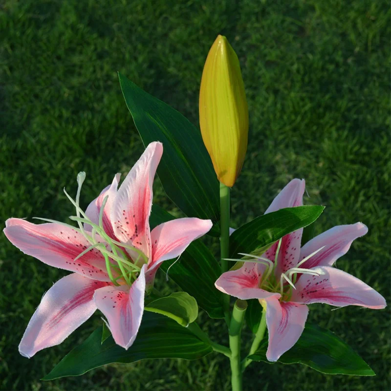 BG0054 (14)