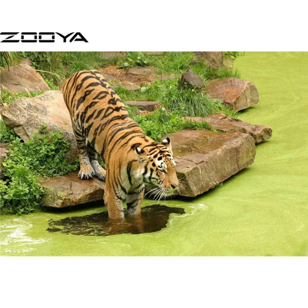 Zooya diamond Вышивка 3D алмазов картина DIY животных Алмазная мозаика живопись Стразы Тигр в небольшой речной rf991