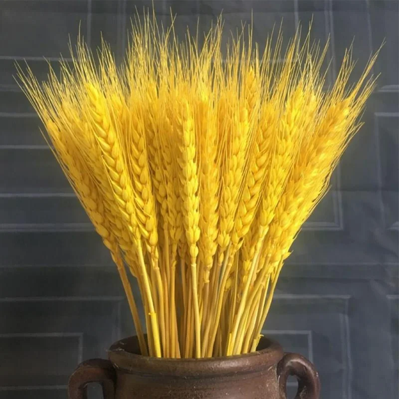 

50Pcs/lot Natural Dried Flower Wheat Ears Bouquet for Wedding Party Decoration DIY Craft Home Decor Scrapbook Wheat Branch Props