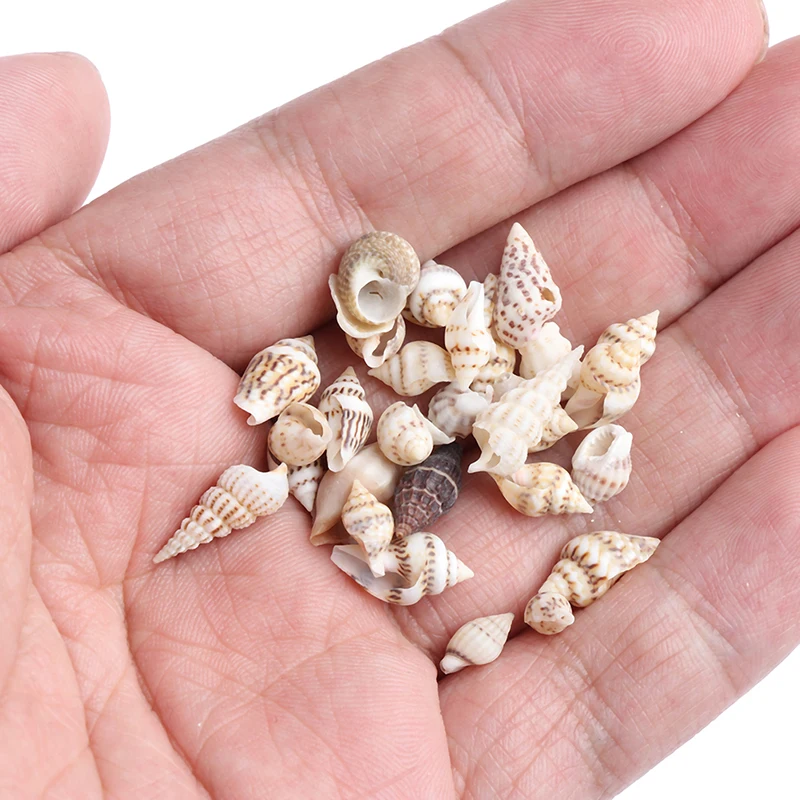 

1/12 Dollhouse Miniature Accessories Mini Conch Simulation Beach Shell Model Toys for Doll House Decoration 1 Bag