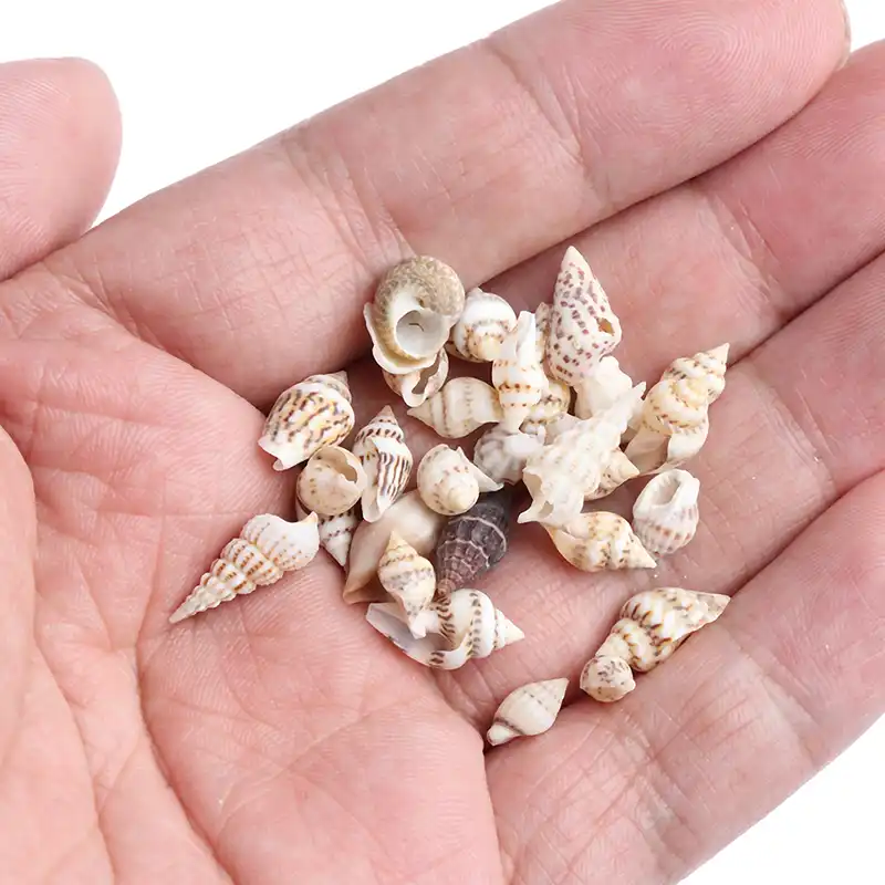 Get Modelos de la casa de playa Free Modelos De La Casa De Playa