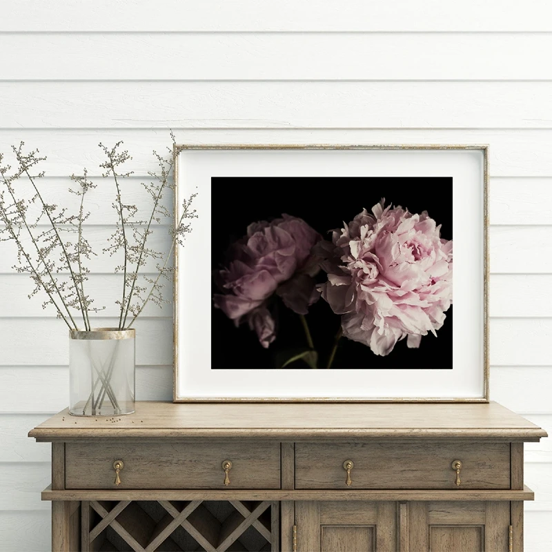 Peony Wall Art Prints