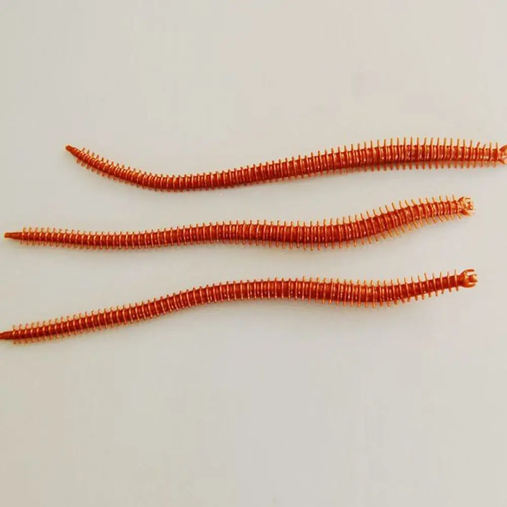 MGG_1733270058_1171981336