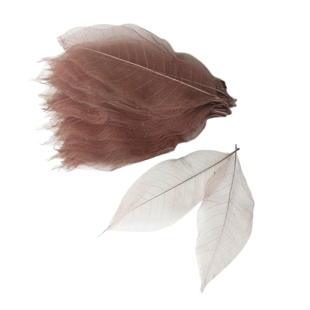 100 Pieces Magnolia Skeleton Leaf Leaves for Wedding Invitations Card Making Christmas Party Gift Wrapping Decoration