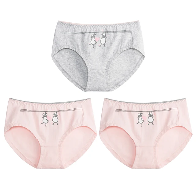 SANQIANG Brand 3pcs/pack Underwear Womens Lingerie Panties Thong Lady