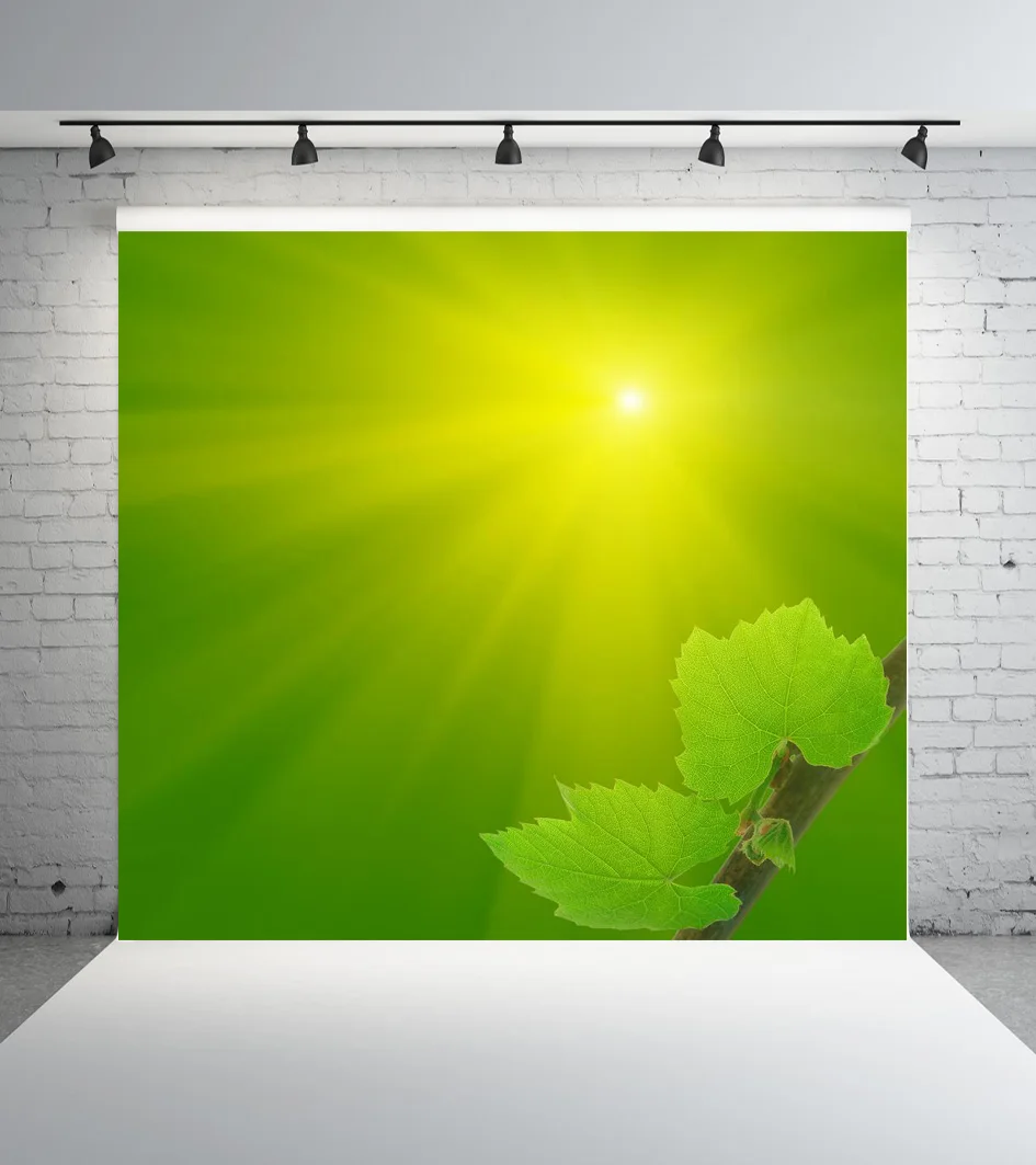 

SHANNY 10X10ft Vinyl Custom Photography Backdrops Prop Digital Photo Studio Backgrounds JTHS-7007