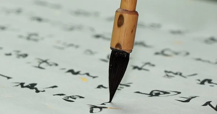 TB2dB91pVXXXXanXpXXXXXXXXXX_!!66571612